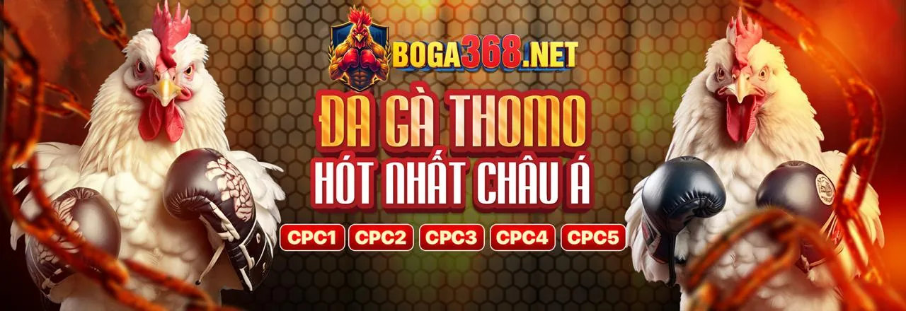 Đá Gà Cựa Dao