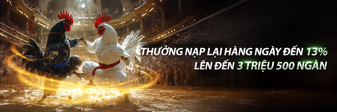 Đá gà trực tuyến bet168 kịch tính và hấp dẫn